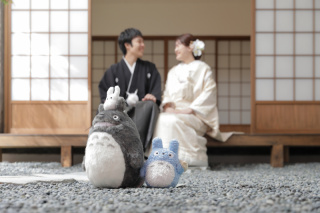 ジブリと一緒！洋装ハウススタジオと屋内庭園のご紹介