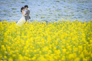 洋装ロケーション撮影(国営ひたち海浜公園)
