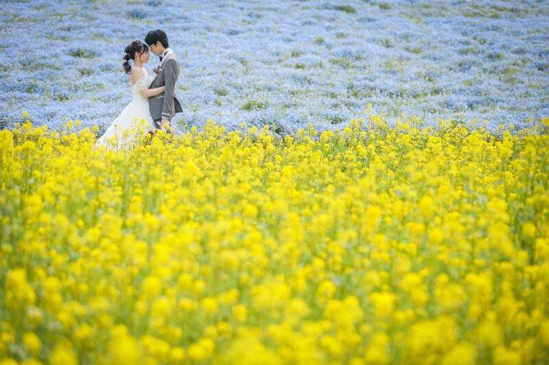 洋装ロケーション撮影(国営ひたち海浜公園)