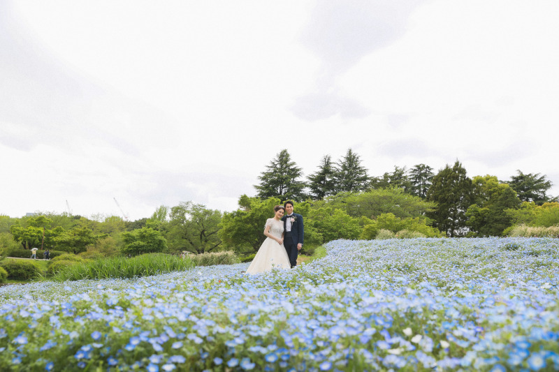 ネモフィラもとっても綺麗♪