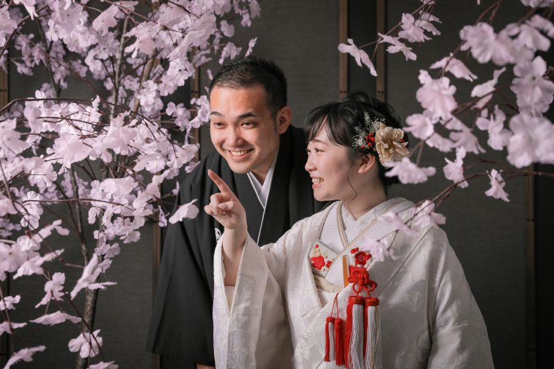 室内の撮影なら桜も先取り❀