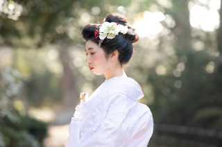 新日本髪の美しさ