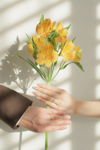 ハウススタジオ