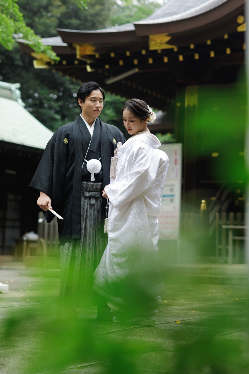 青々とした緑と