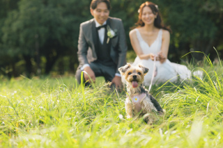 代々木公園ロケーション