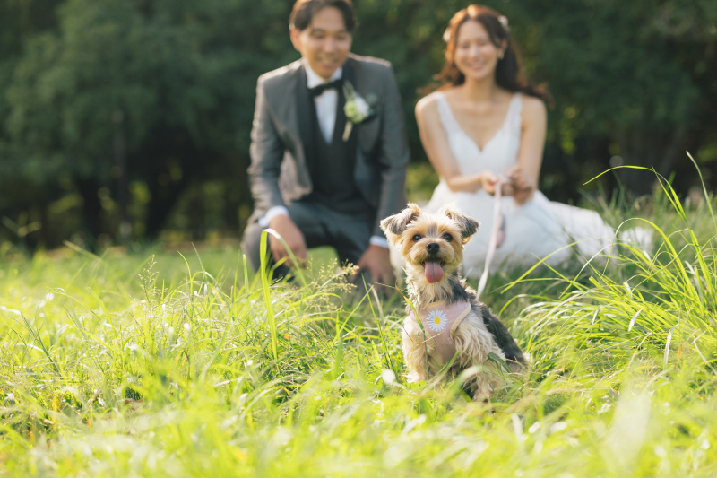 代々木公園ロケーション