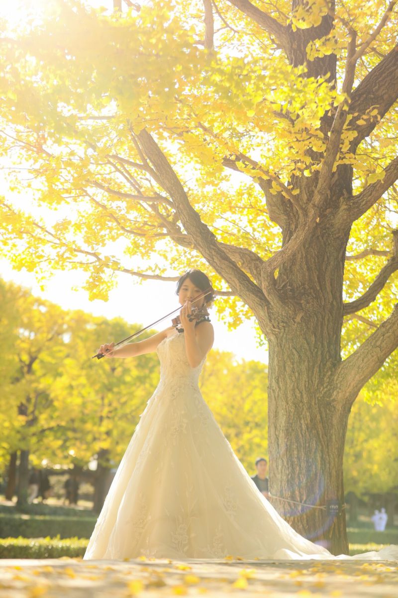 美しい....その一言です