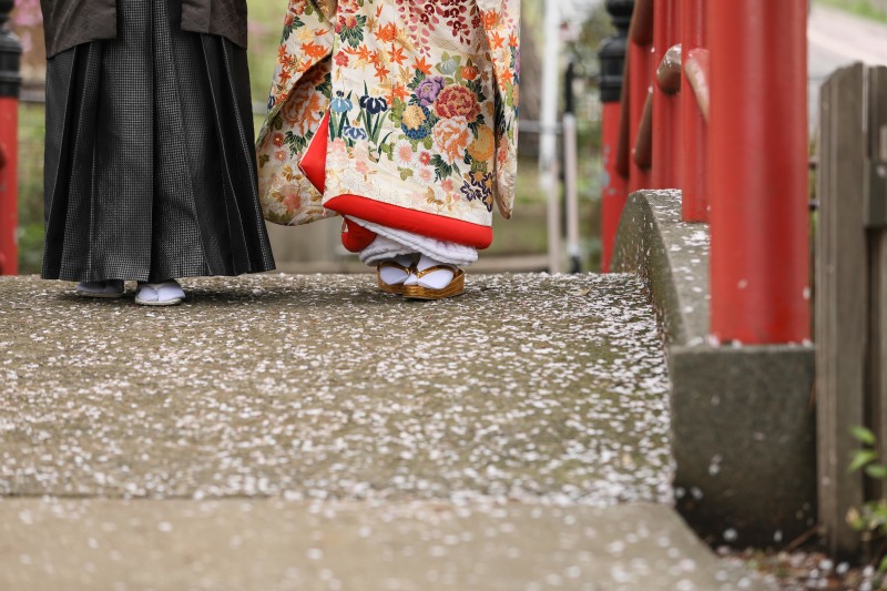 桜は散り落ちても、