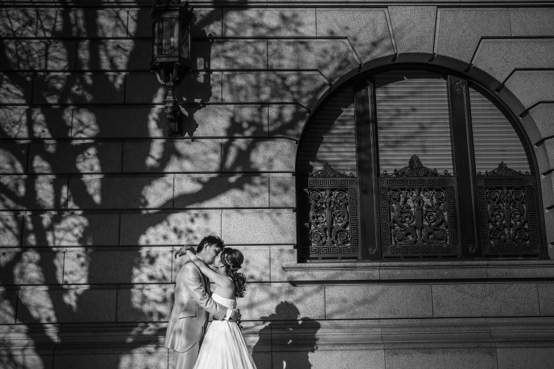 瀟洒な壁に落ちた木の影