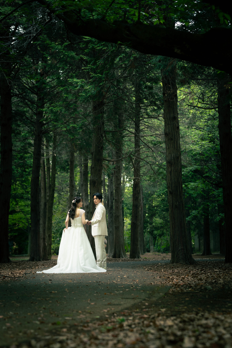 森に迷い込んだようなお写真!