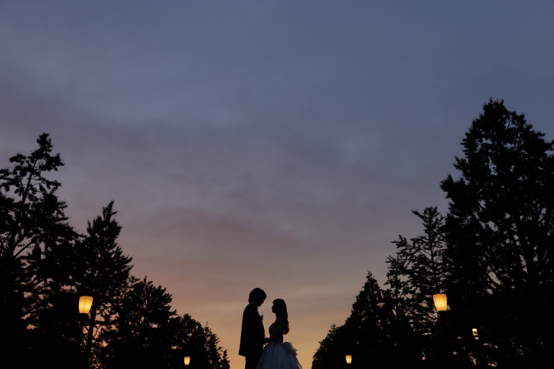 シルエットのお写真