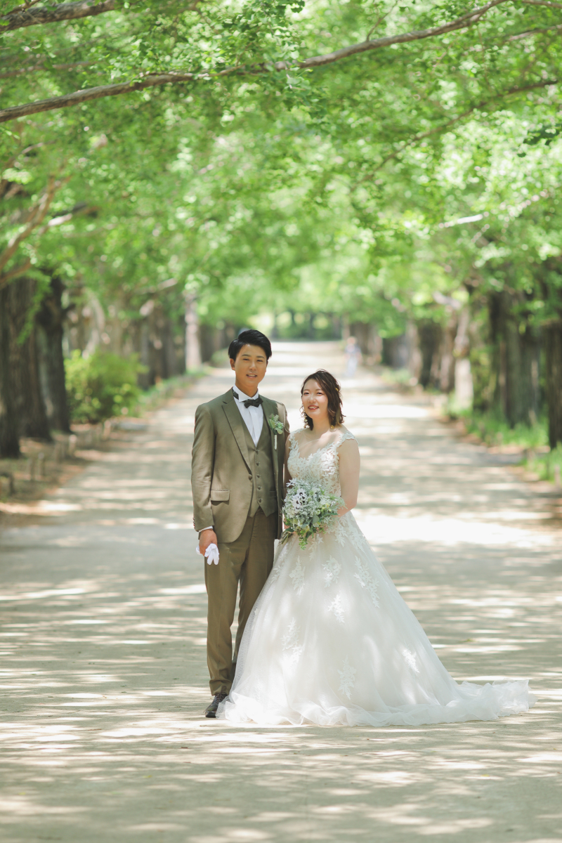 木漏れ日と、緑と