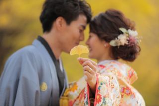 黄金に染まるイチョウ