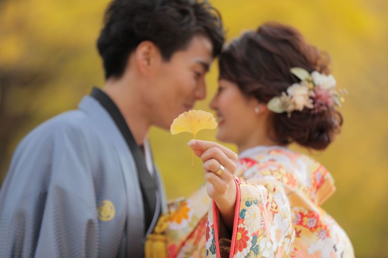 黄金に染まるイチョウ