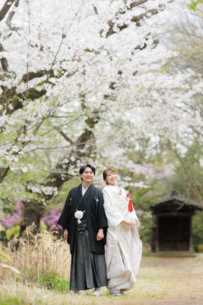 桜の下で