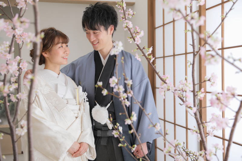 スタジオに桜の木をいれてまらいましたっ！