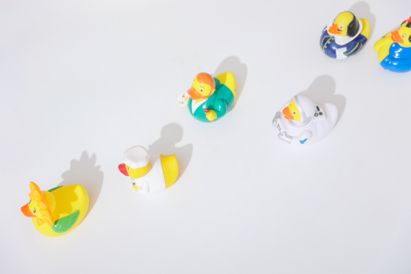 アヒルのアップ