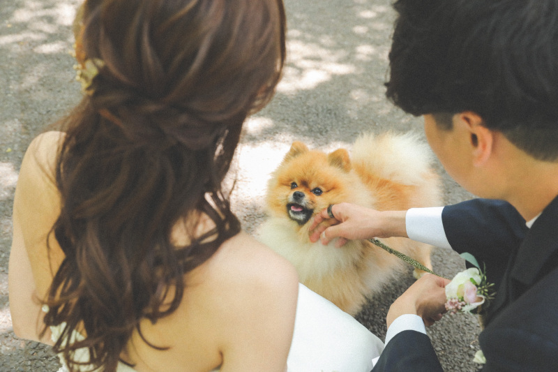 STUDIO AQUA 表参道渋谷店（スタジオAQUA）_ペットと一緒に撮影できる