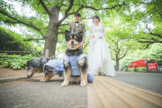 ペットとの撮影【一部ロケ地限定】