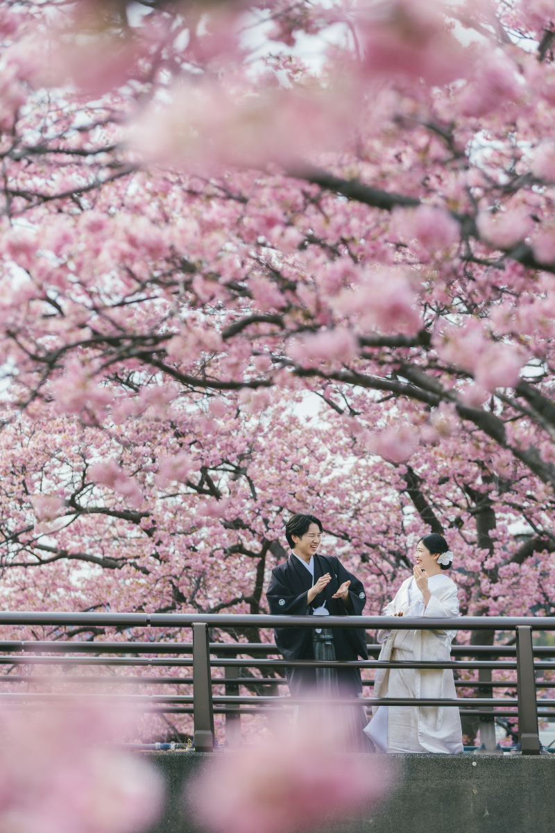 河津桜での撮影！