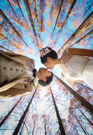 心に残る一枚を。