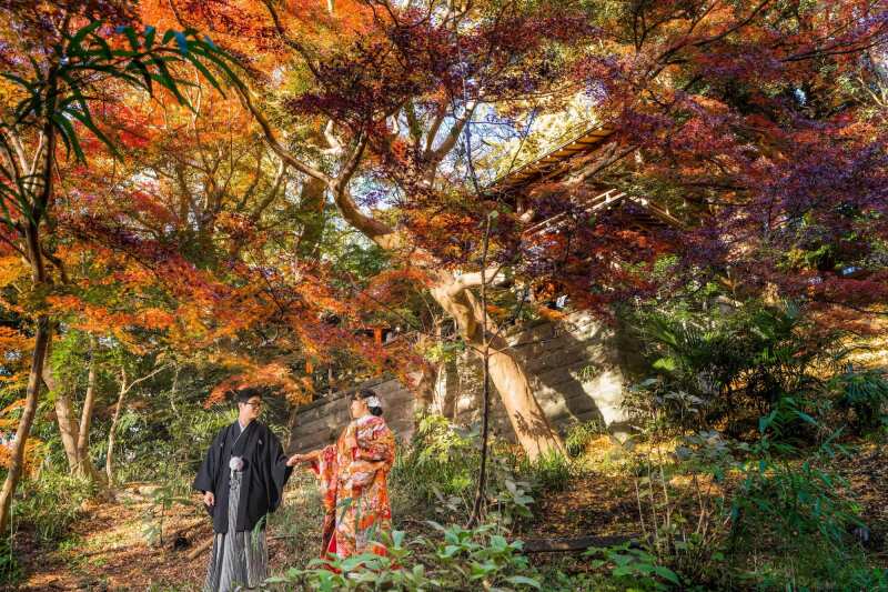 〈紅葉おすすめスポット!〉等々力不動尊ロケーション【基本料金+全データ付き!】