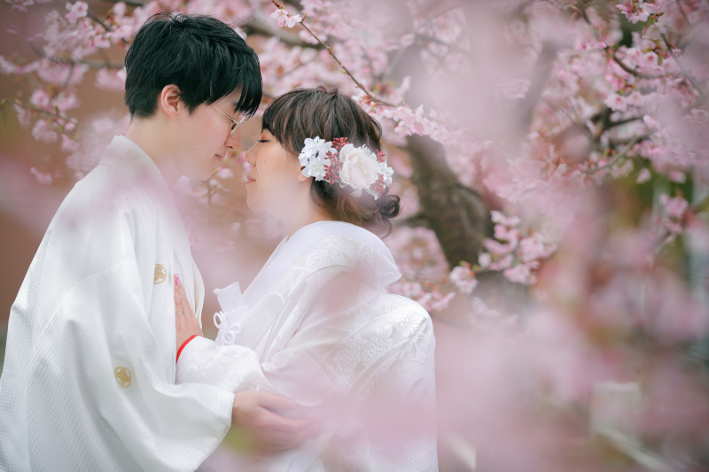 【期間限定33,000円OFF！】伊豆河津桜和洋ロケーションプラン【全データレタッチ付き♪】