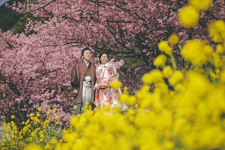 【期間限定33,000円OFF♡】〈伊豆河津桜〉和装or洋装ロケーションプラン