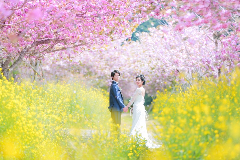 【期間限定33,000円OFF！】伊豆河津桜和洋ロケーションプラン【全データレタッチ付き♪】