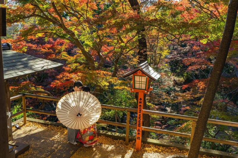 〈紅葉おすすめスポット!〉等々力不動尊ロケーション【基本料金+全データ付き!】