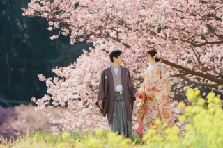 【期間限定！ 33,000円OFF】 河津桜ロケーション受付開始