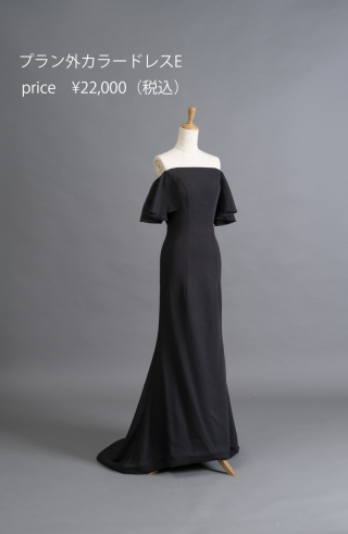 プラン外ドレスE