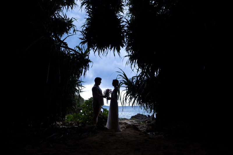 印象的なシルエット写真