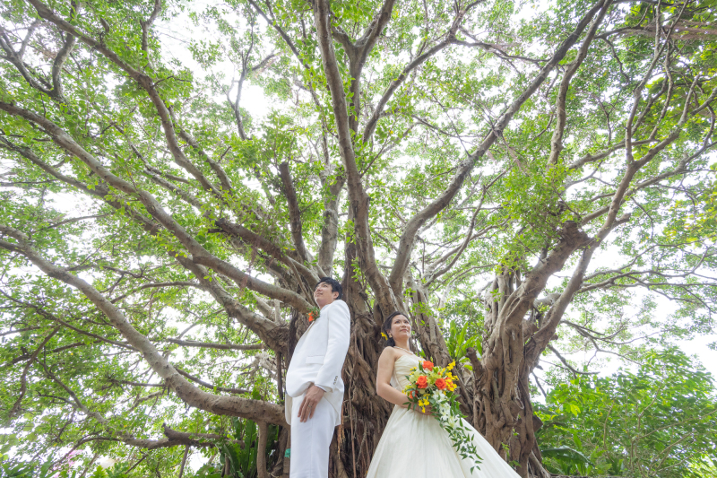 ガジュマルの木の下で&hellip;