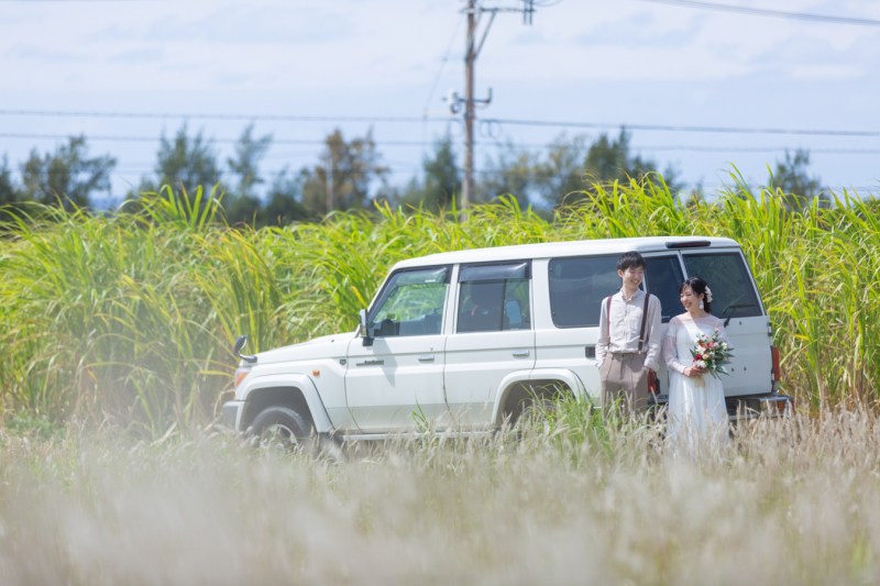 さとうきび畑をバックに