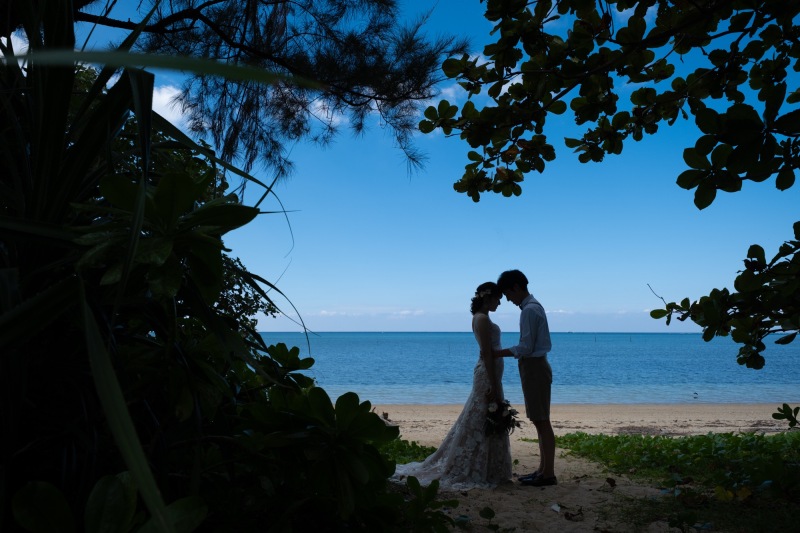 シルエット撮影