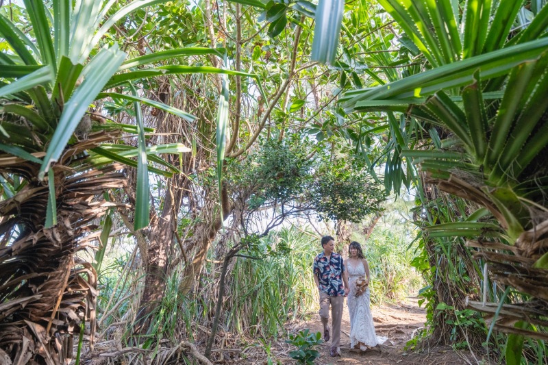 緑の小道を進んで