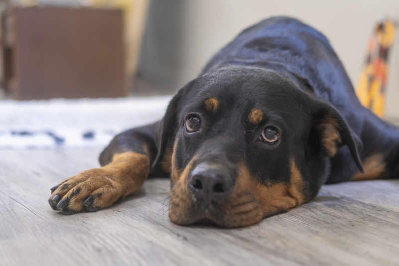 お支度中の待ち時間