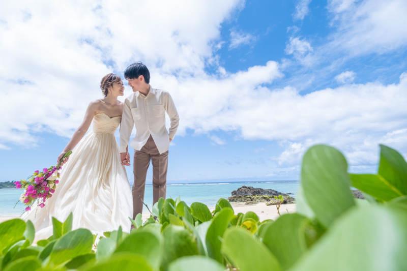 ビーチの横の緑で
