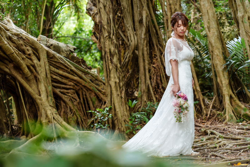 ガジュマルの森を散歩しながら…