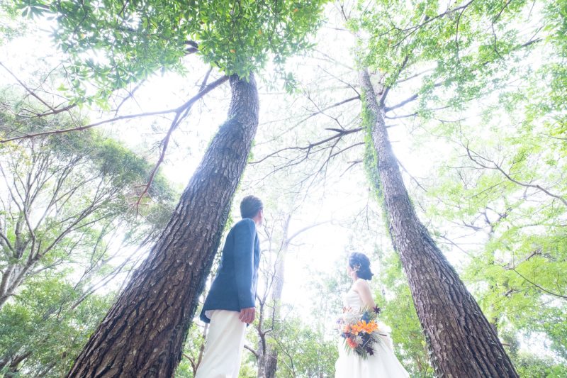 2か所目はグリーンイメージでの撮影♪