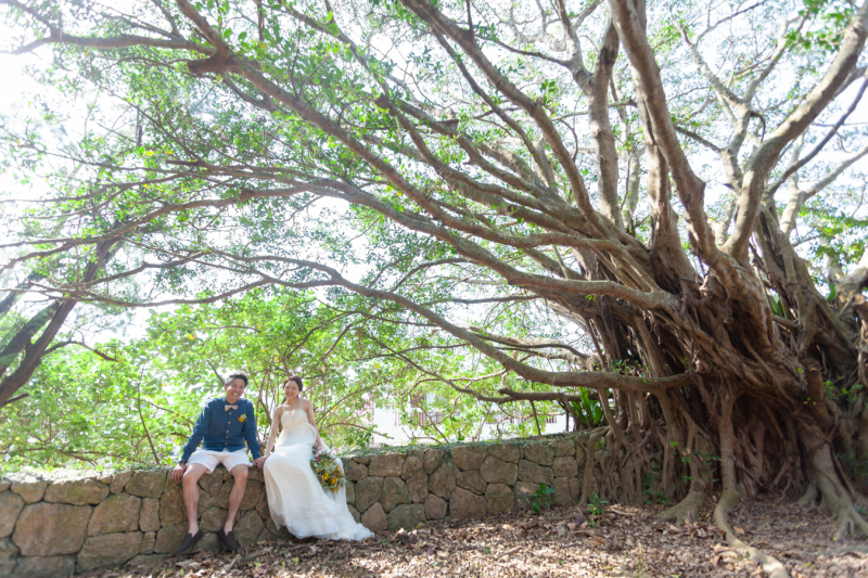 存在感のある大きなガジュマル♪