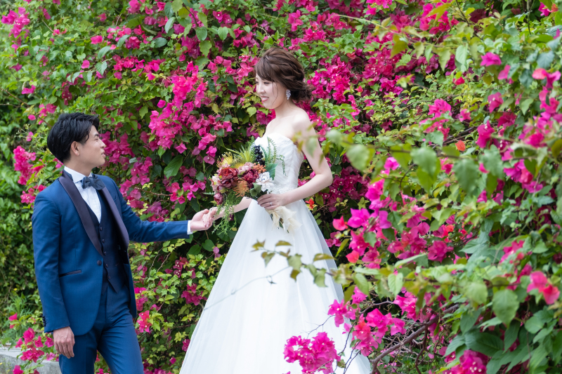 ブーゲンビレア♪