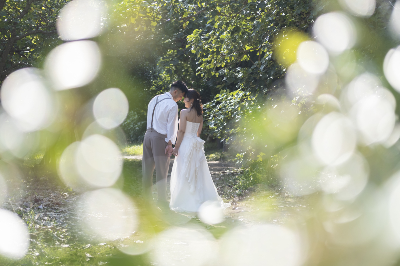 爽やかな森でも撮影しましょう！