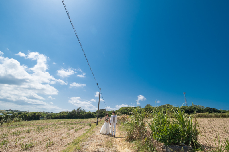さとうきび畑に囲まれて♪