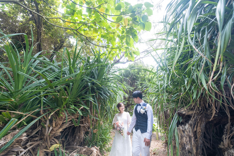 沖縄らしい亜熱帯な植物に囲まれた道