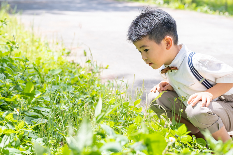 ビーチにたどり着くまで