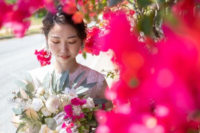 ブーゲンビリア