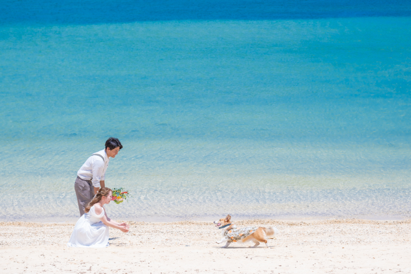 リクエストカット②