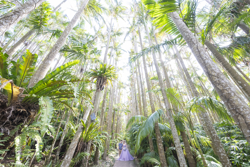 ヤシの木に囲まれて